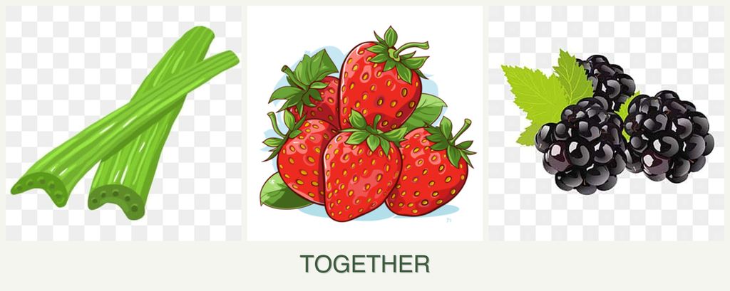 Can you plant celery, strawberries and blackberries together?