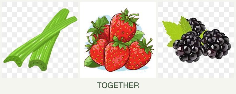 Can you plant celery, strawberries and blackberries together?