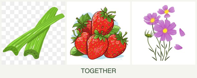 Can you plant celery, strawberries and cosmos together?