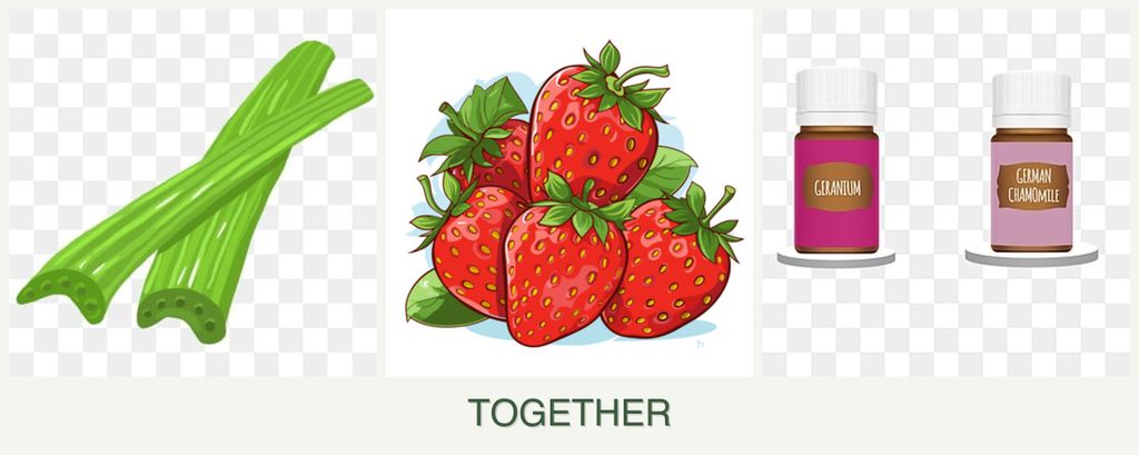 Can you plant celery, strawberries and geraniums together?