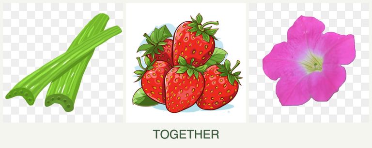 Can you plant celery, strawberries and petunias together?