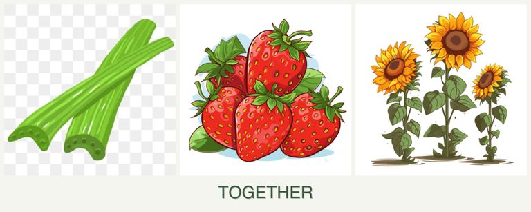 Can you plant celery, strawberries and sunflowers together?