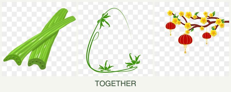 Can you plant celery, tarragon and apricots together?