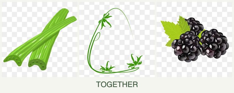 Can you plant celery, tarragon and blackberries together?