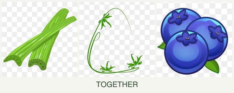 Can you plant celery, tarragon and blueberries together?