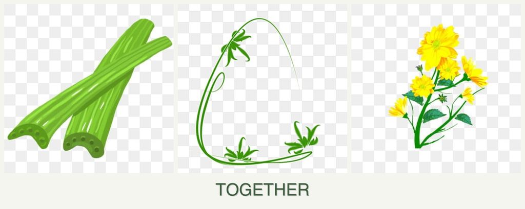 Can you plant celery, tarragon and calendula together?