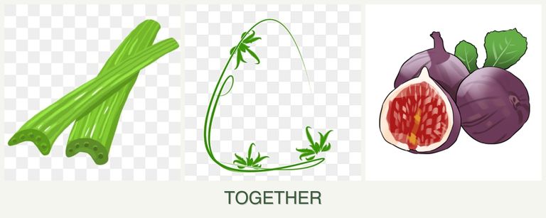 Can you plant celery, tarragon and figs together?