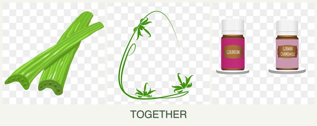Can you plant celery, tarragon and geraniums together?