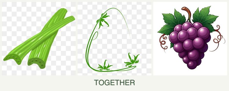 Can you plant celery, tarragon and grapes together?
