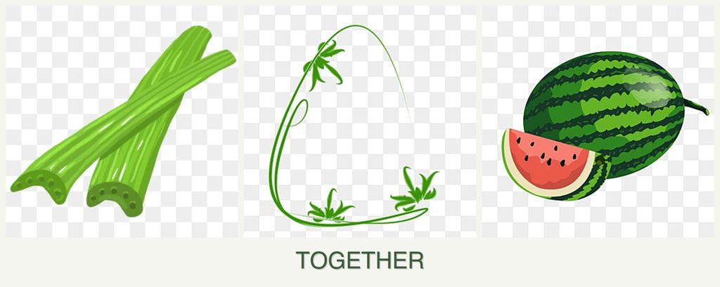 Can you plant celery, tarragon and melons together?