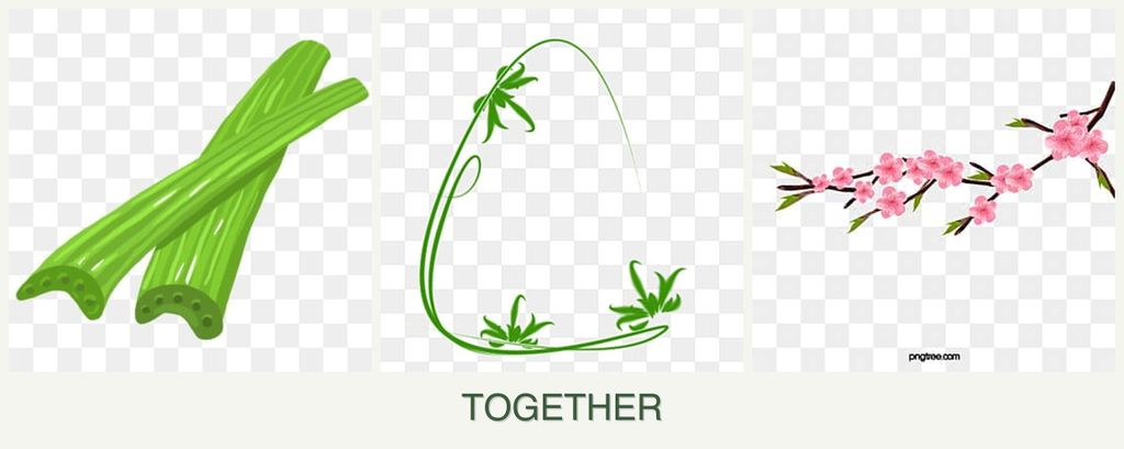Can you plant celery, tarragon and peaches together?
