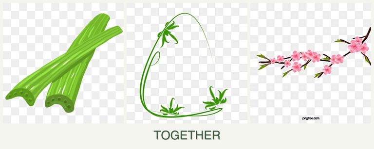 Can you plant celery, tarragon and peaches together?