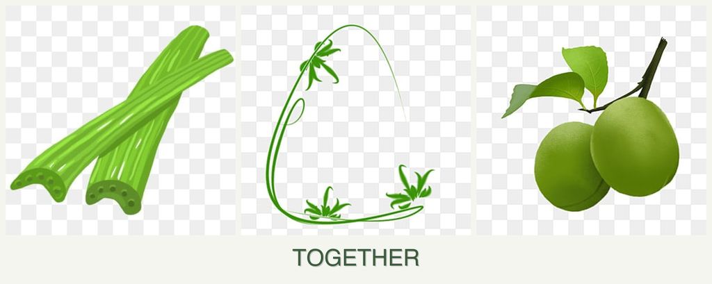 Can you plant celery, tarragon and plums together?