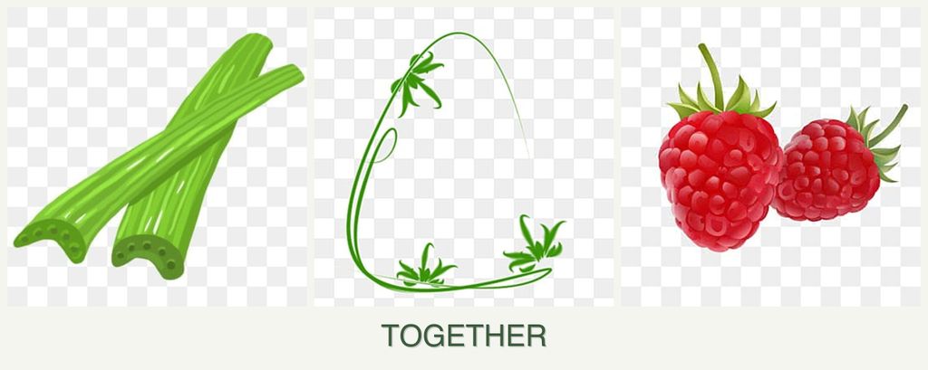 Can you plant celery, tarragon and raspberries together?