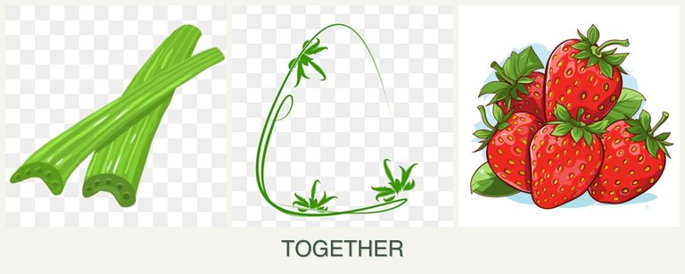 Can you plant celery, tarragon and strawberries together?