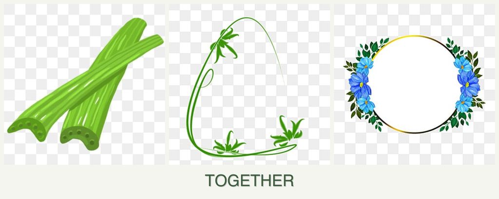 Can you plant celery, tarragon and zinnias together?