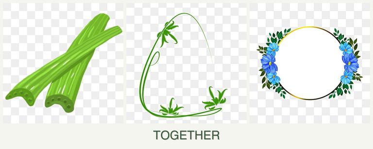 Can you plant celery, tarragon and zinnias together?