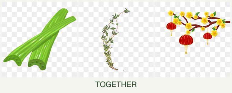 Can you plant celery, thyme and apricots together?
