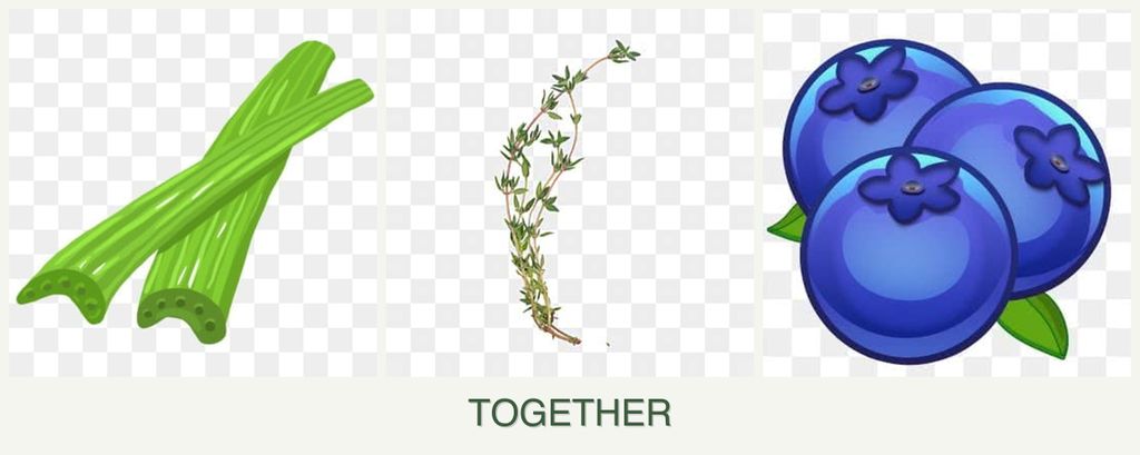 Can you plant celery, thyme and blueberries together?