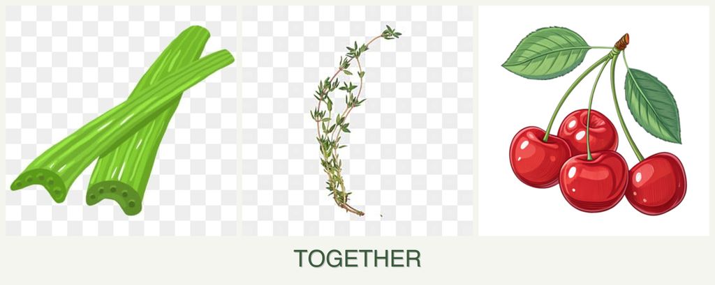 Can you plant celery, thyme and cherries together?