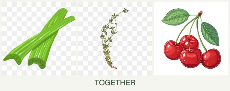 Can you plant celery, thyme and cherries together?