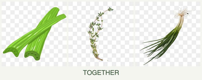 Can you plant celery, thyme and chives together?