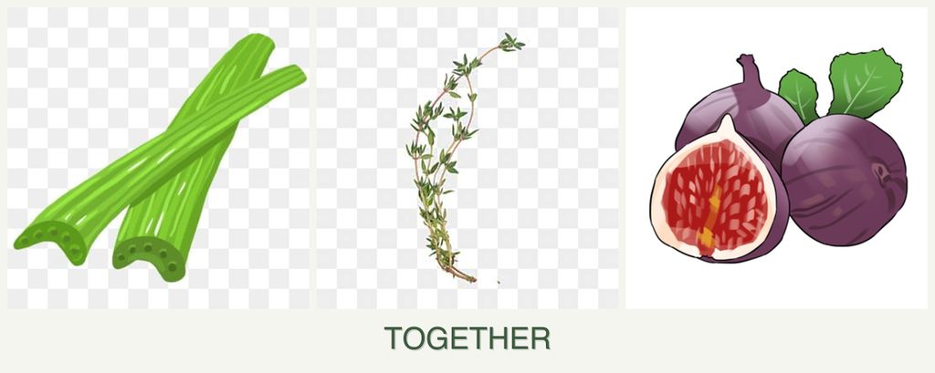 Can you plant celery, thyme and figs together?