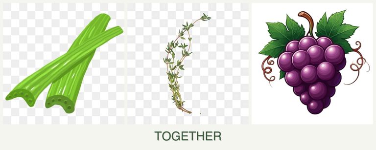Can you plant celery, thyme and grapes together?