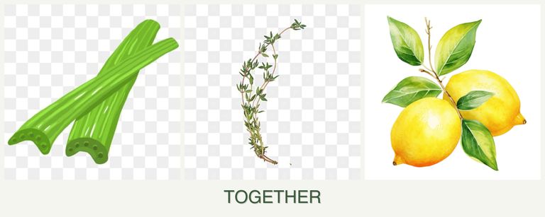 Can you plant celery, thyme and lemons together?