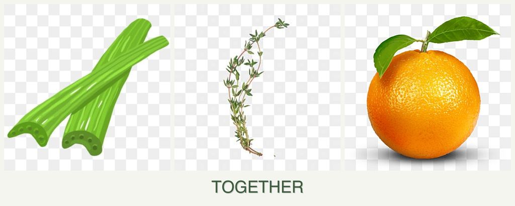 Can you plant celery, thyme and oranges together?