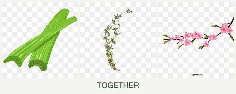 Can you plant celery, thyme and peaches together?