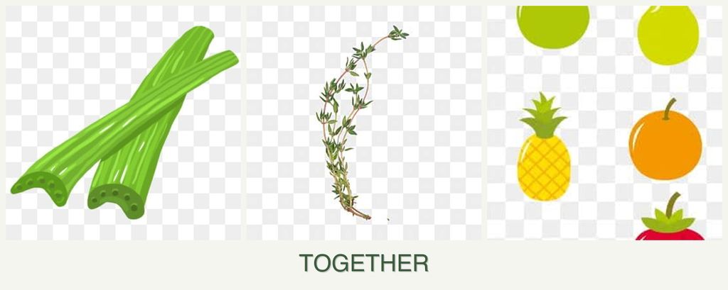 Can you plant celery, thyme and pears together?
