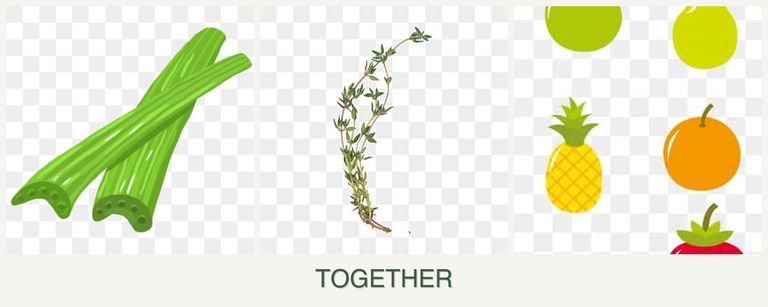 Can you plant celery, thyme and pears together?