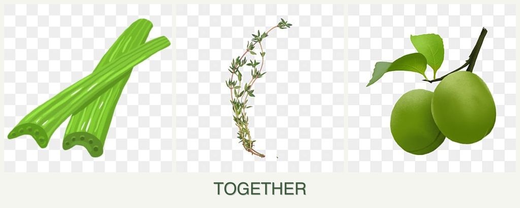 Can you plant celery, thyme and plums together?