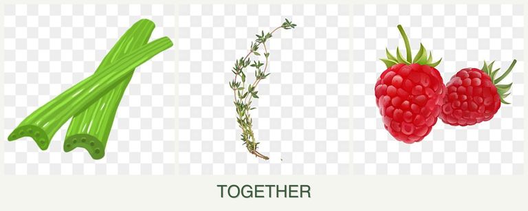 Can you plant celery, thyme and raspberries together?