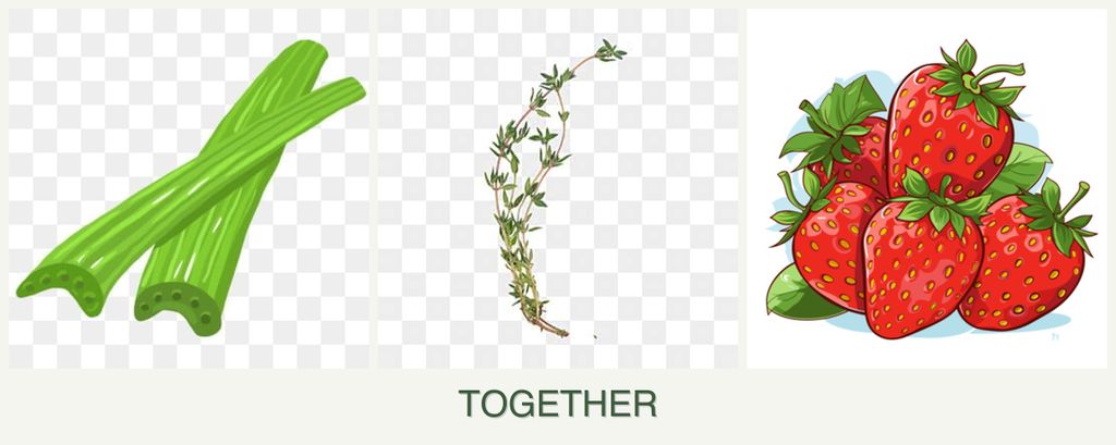 Can you plant celery, thyme and strawberries together?