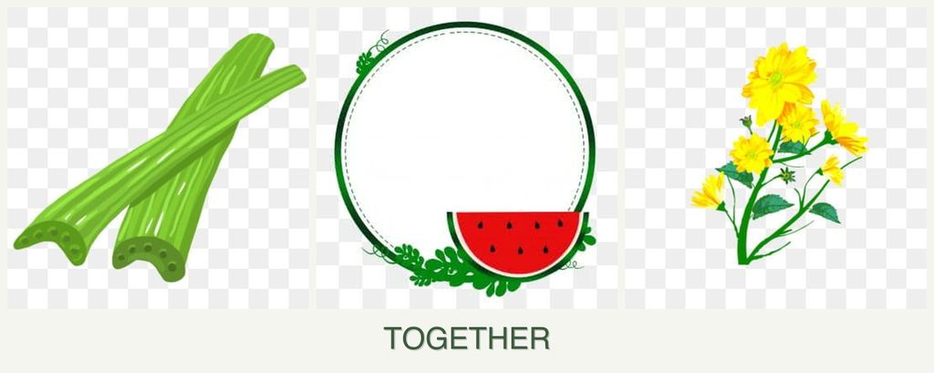 Can you plant celery, watermelons and calendula together?