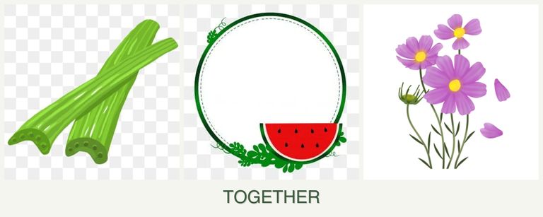 Can you plant celery, watermelons and cosmos together?