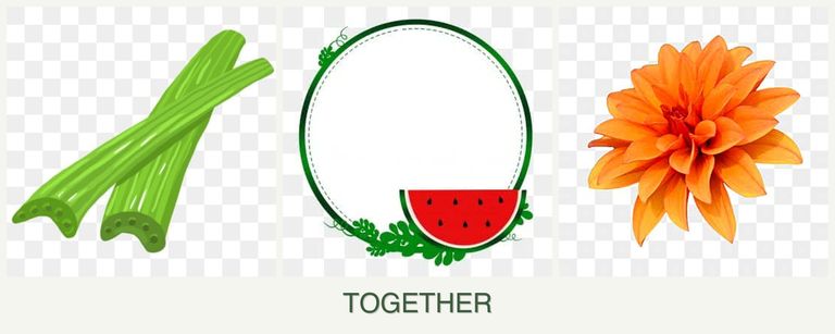 Can you plant celery, watermelons and dahlias together?