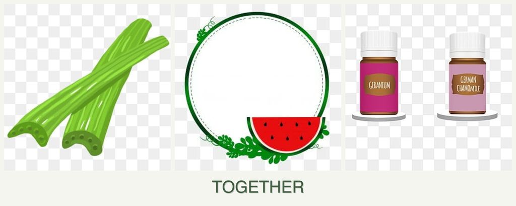 Can you plant celery, watermelons and geraniums together?