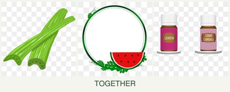 Can you plant celery, watermelons and geraniums together?