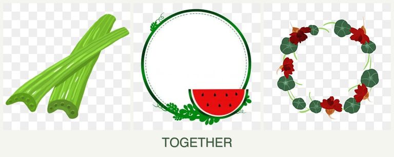 Can you plant celery, watermelons and nasturtiums together?