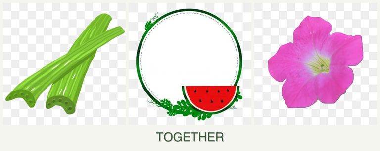 Can you plant celery, watermelons and petunias together?