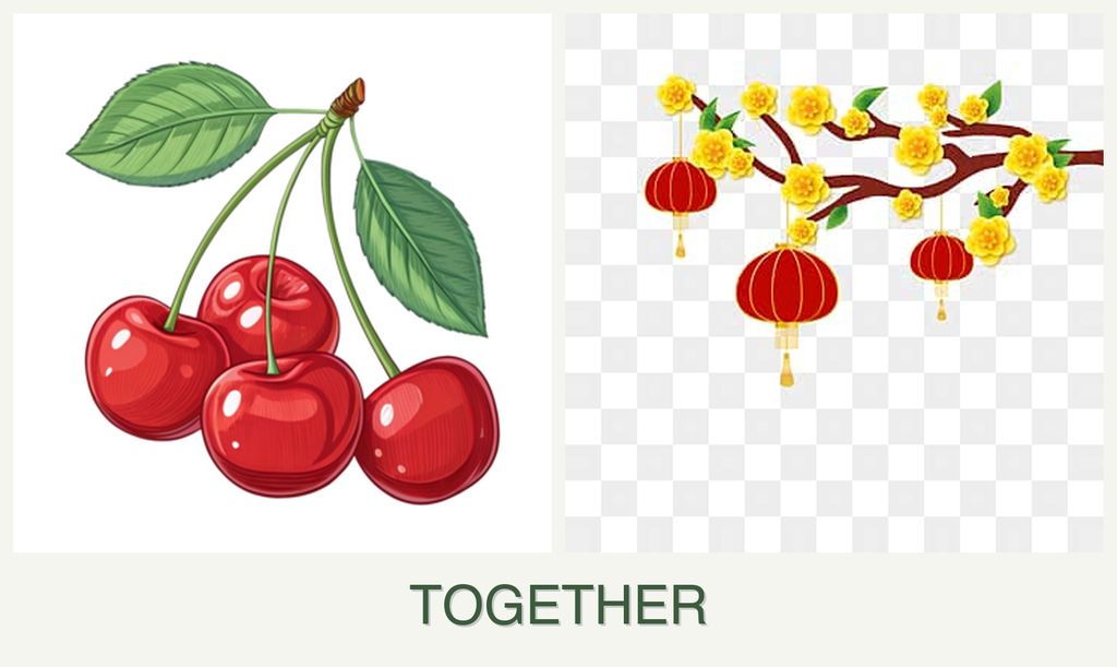 Can you plant cherries and apricots together?