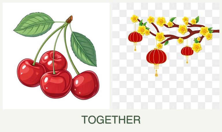 Can you plant cherries and apricots together?