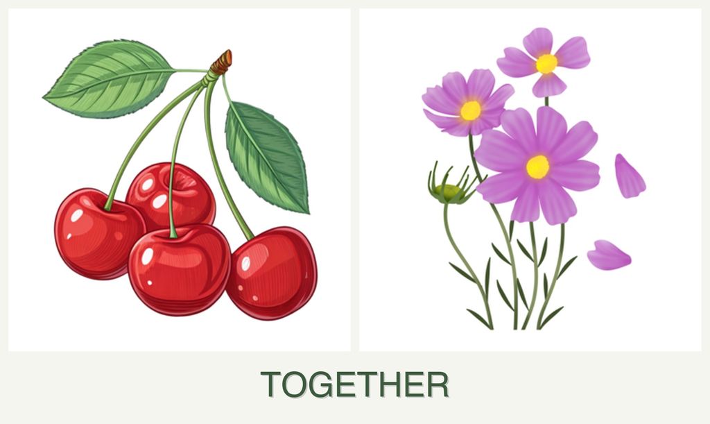 Can you plant cherries and cosmos together?
