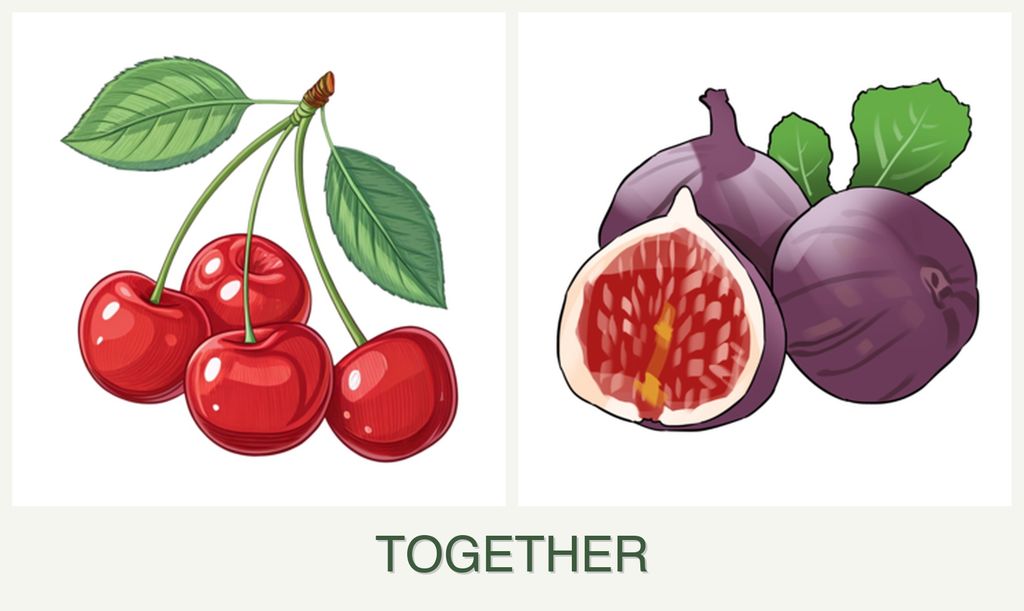 Can you plant cherries and figs together?