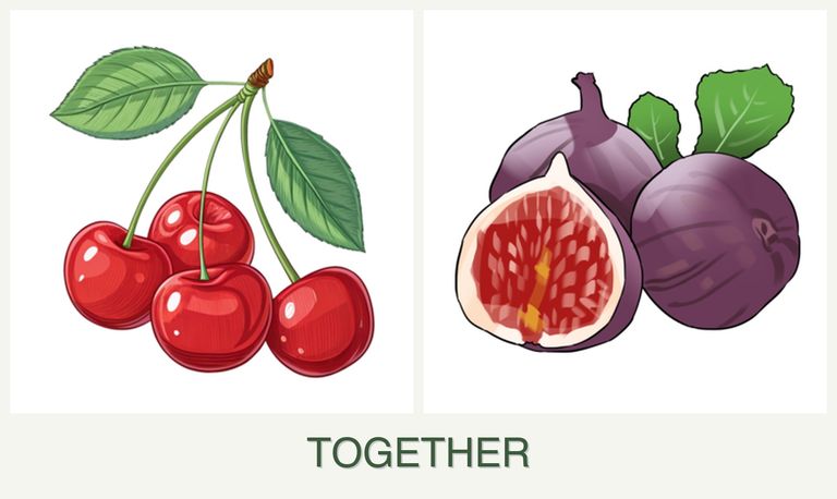 Can you plant cherries and figs together?
