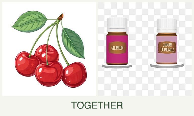 Can you plant cherries and geraniums together?