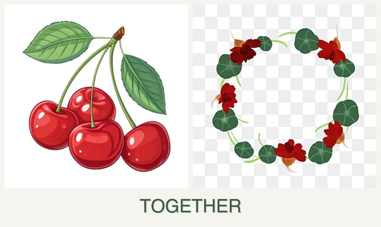 Can you plant cherries and nasturtiums together?